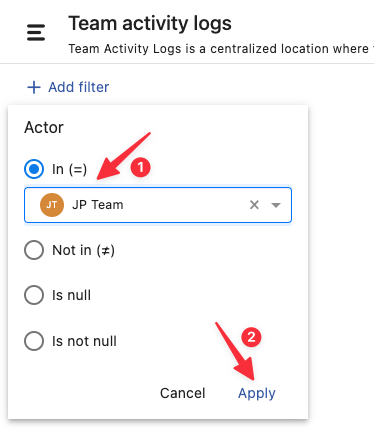 Actor_based_Filter_in_Team_Activity_Logs_2.png